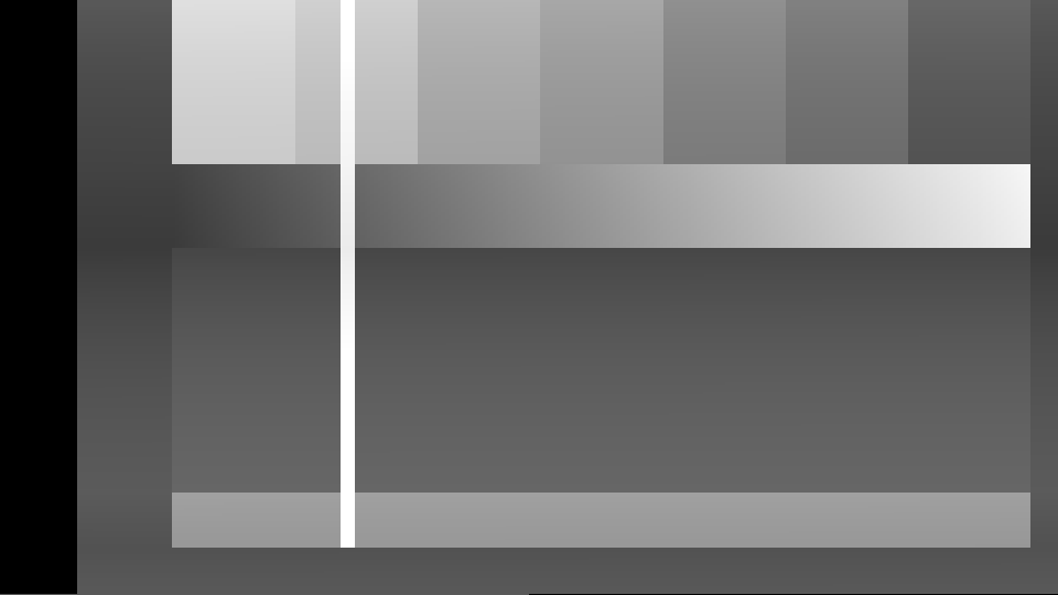 Show Blanking: the whole field as a raster, sync at the left, the back porch, the picture, the front porch, and the blank lines at the bottom